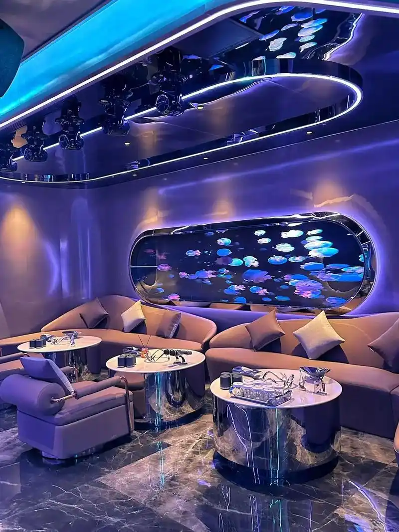 常德商务ktv：中低端差异-桃源县ktv预定